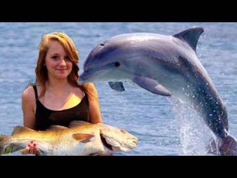 Dolphin feeds girl dinner! Kayaking with dolphins in UK