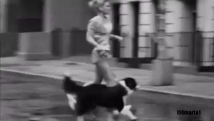 Sumptuastic - Bo Mam Ciebie