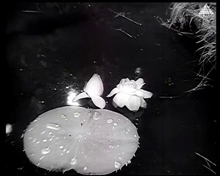 Kandakannavum - AMBIGAPATHY (1957)