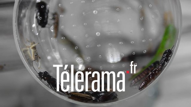 Nuit blanche 2013 : Ceinture, de Huang Yong Ping