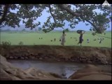 Marikozhundu - PUDHU NELLU PUDHU NATHU (1991)