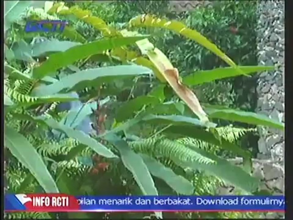 Putri Nomer Satu Ep 13