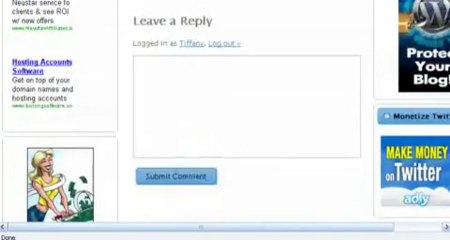 When Is a Blog Comment Spam by TIffany Dow.flv