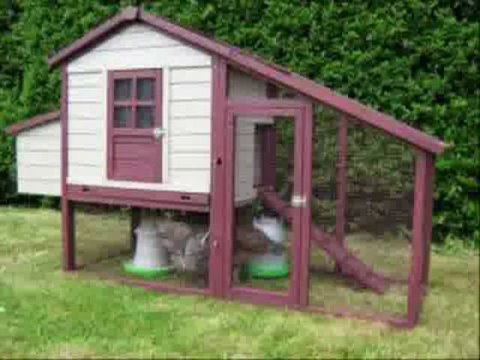 Chicken Coop Guide - Top Converter - build chicken coop