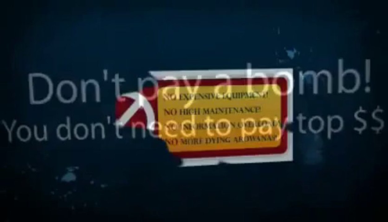 Arowana Secrets Revealed