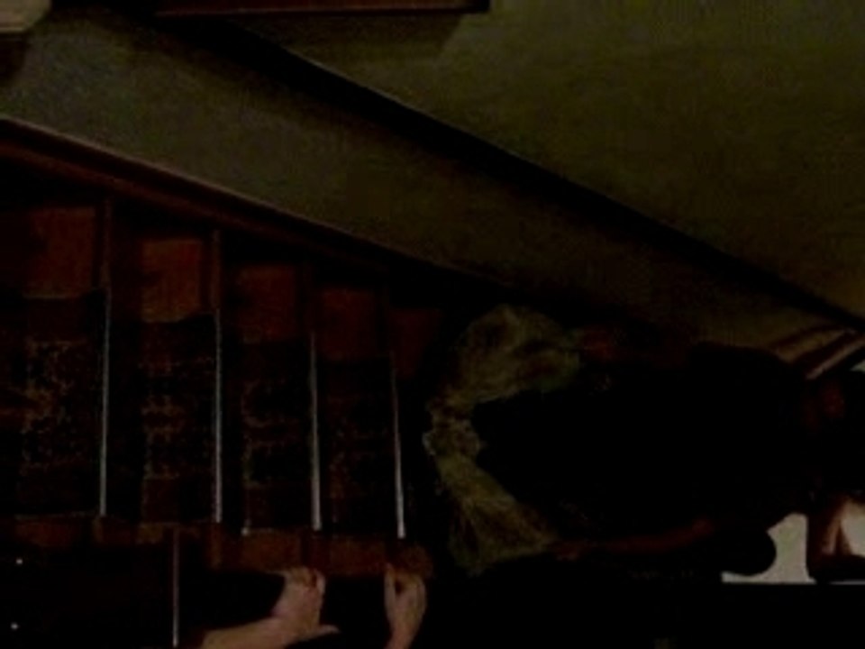 descentes escalier 2.