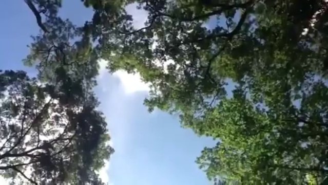 The Five Tibetan Rites • Present Time Consciousness