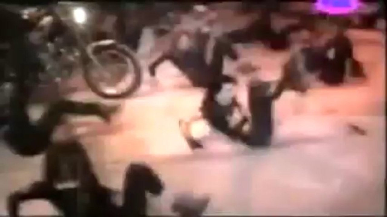 Dragana Mirkovic (koncert) - Volela bih da te vidim