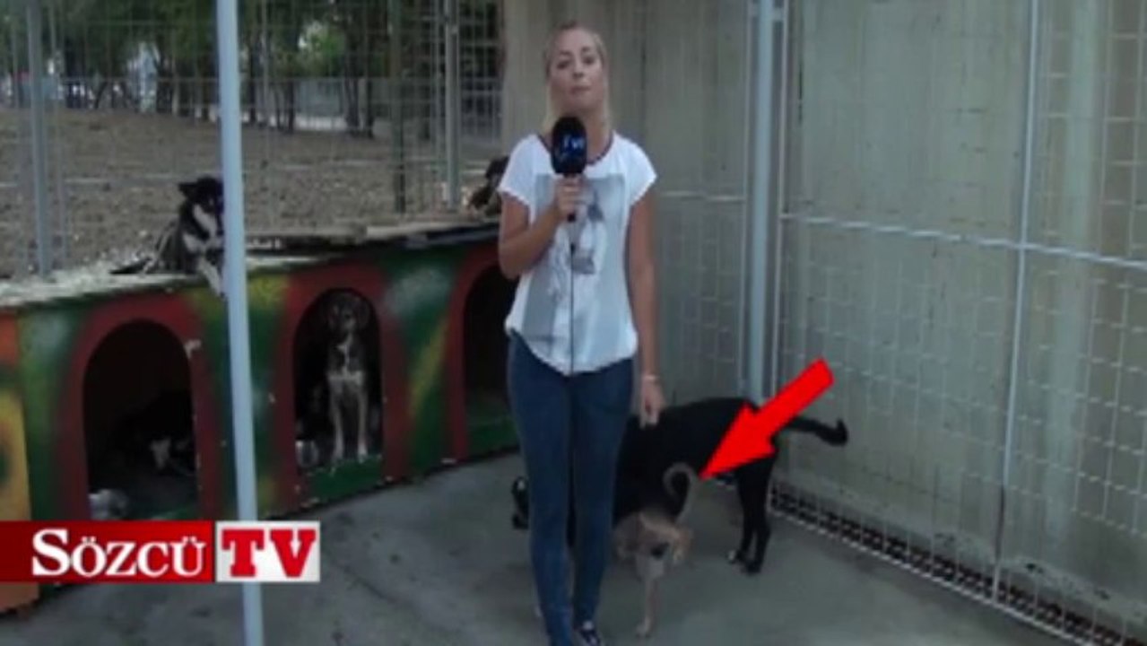 Muhabir kadın ne yapacağını şaşırdı