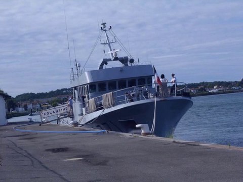 5 batiments école de la Marine Nationale en escale a Bayonne