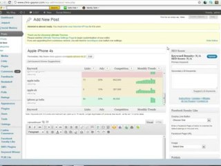 Keyword Winner Wordpress Plugin: Insider Review