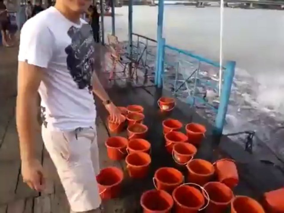 Fishsing