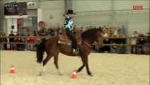 Équitation américaine – Equid Espaces 2013 – La passion du Cheval à La Roche sur Foron