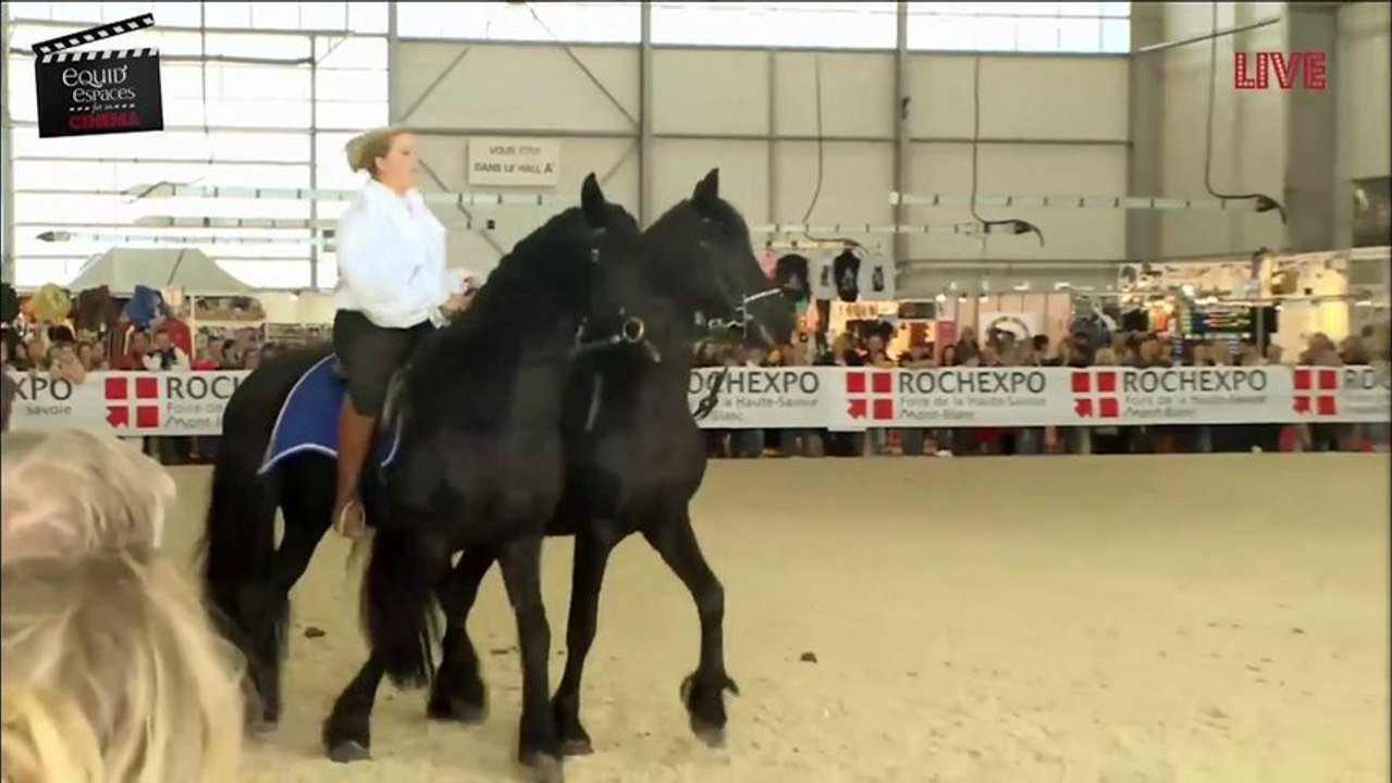 Écuries de l'Arcadie – Equid Espaces 2013 – La passion du Cheval à La Roche sur Foron