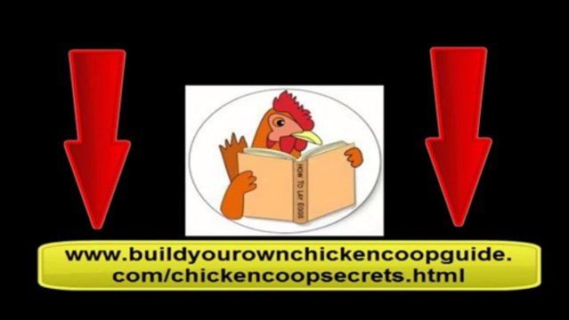 backyard chicken coop :Guide to building a chicken coop