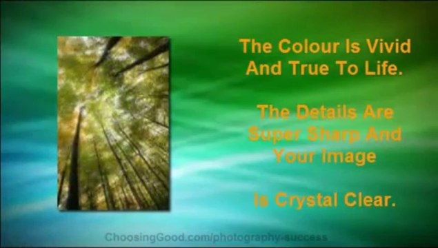 Digital Photography Success | Digital Photography Classes