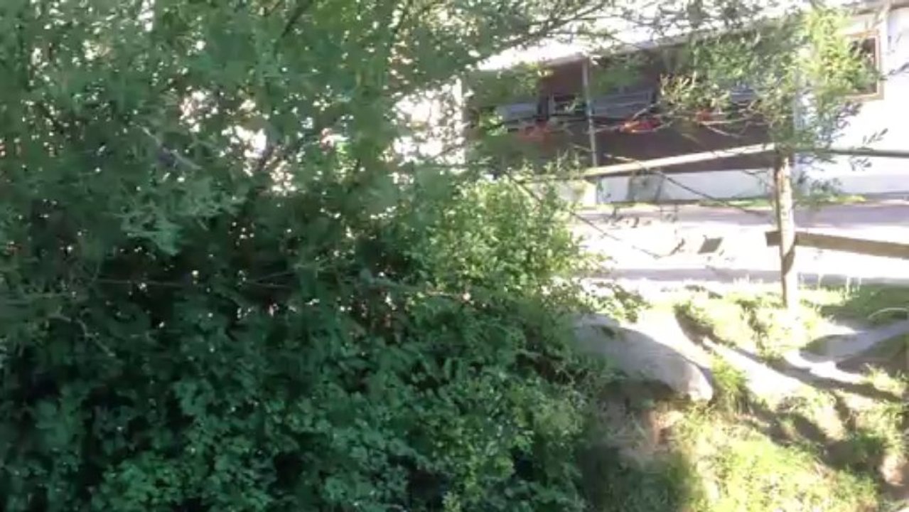 Hotel Reiterhof Runding Bayerischer Wald Onlinebuchung im Reisebüro Fella Hammelburg @ http://vip-reisen.de/hotels_+_wellness_weltweit,_sprachreisen,_hotels_mit_bahnfahrt Tel. 09732-2600 Email  info@fella.de  ab 18.30 Uhr und am Wochenende unter 0171-2731