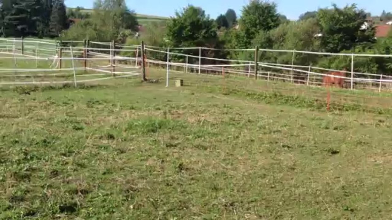 Hotel Reiterhof Runding Bayerischer Wald Onlinebuchung im Reisebüro Fella Hammelburg @ http://vip-reisen.de/hotels_+_wellness_weltweit,_sprachreisen,_hotels_mit_bahnfahrt Tel. 09732-2600 Email  info@fella.de  ab 18.30 Uhr und am Wochenende unter 0171-2731