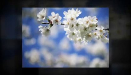 Double Your Likes Review - Is It A Scam?