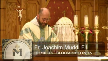 Oct 05 - Homily: Blessed Are Your Eyes