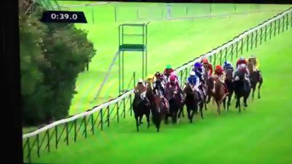2013 Qatar Prix de l´Arc de Triomphe (Treve)