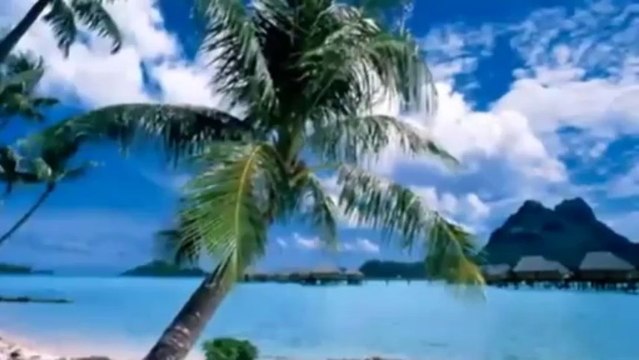 Make Money Online Micro Niche Profit Formula Sites