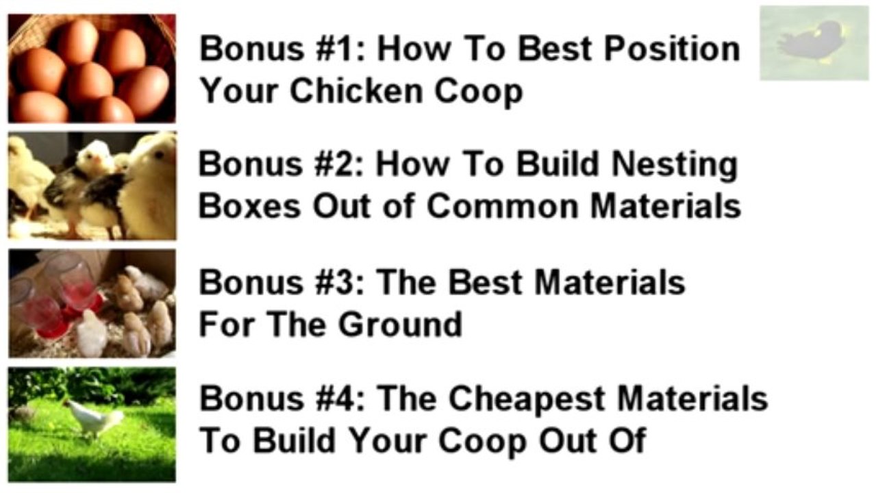 Build a Chicken Coop (Guide + Bonuses)