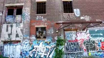 Urban Survival Guide David Morris