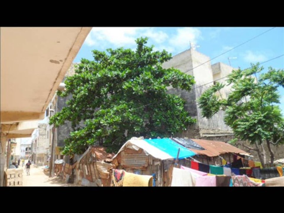 Dalifort un Quartier Pauvre