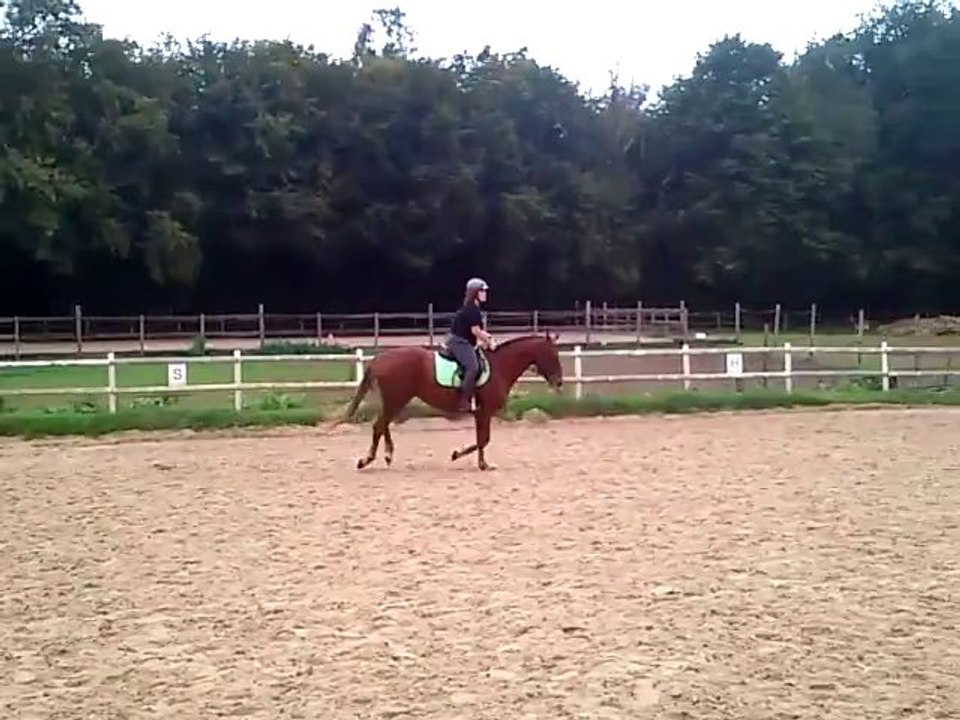 Ingrid et patch 6 10 2013