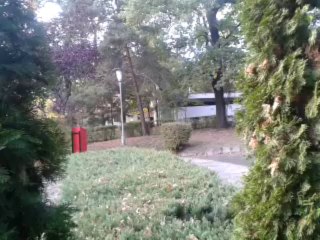 video-2013-10-06-16-37-25