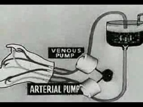 The Revival of Organisms Part 1