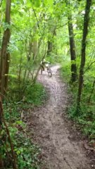 VTT verriere