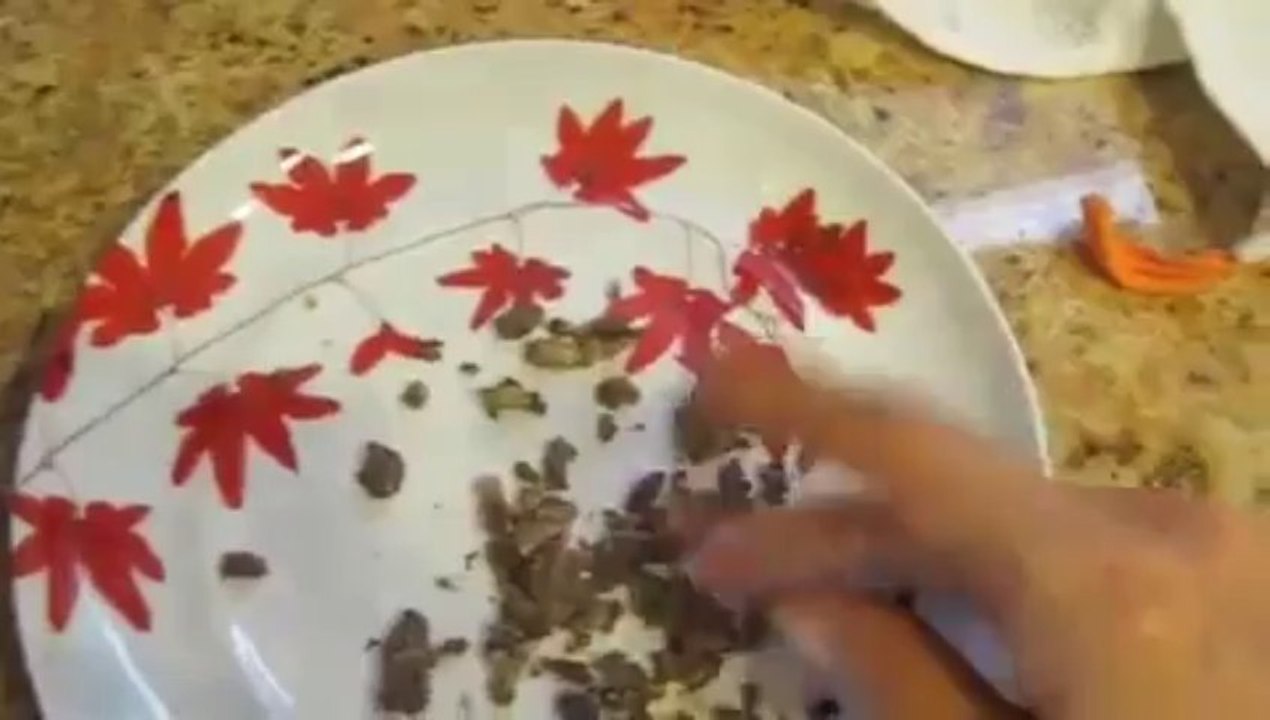 bone broth & crush bones