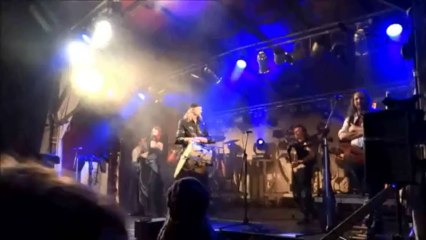 Saltatio Mortis - MPS Hohenlockstedt 2013 - Zusammenfassung