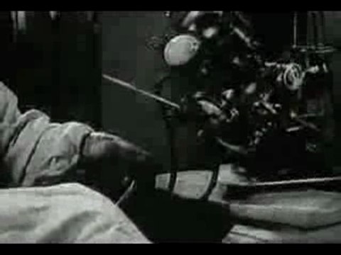 The Revival of Organisms Part 2