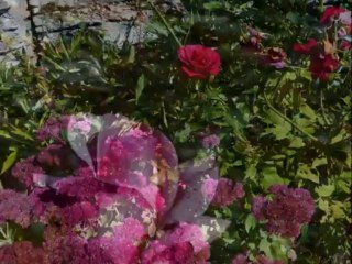 Les Forges des Salles