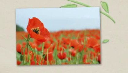 Design Your Perfect Life