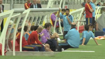 Brasil 2014 - Villa y Albiol, las bajas de Vicente Del Bosque