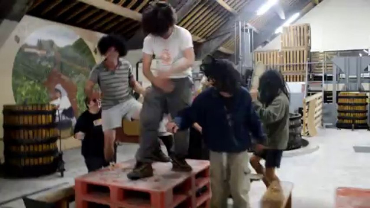CADO harlem shake vendange BAYE