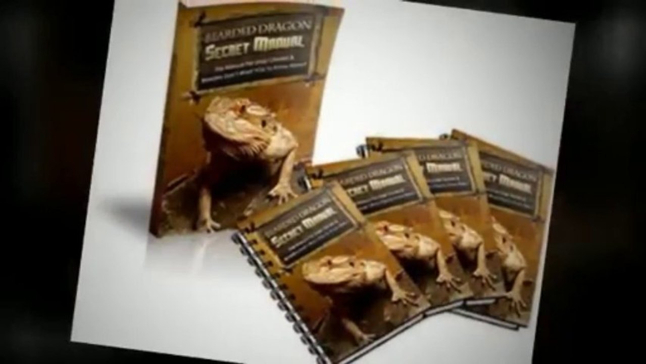 Bearded Dragon Secret Manual + Bonus