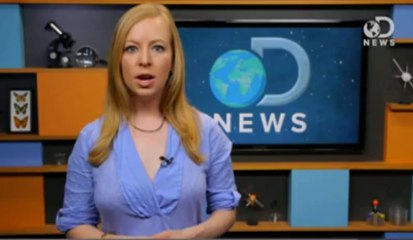 New Island Spewing Flammable Gas