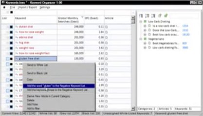 Working with your Negative Keyword List in Keyword Organizer