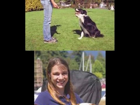 Dove Cresswells Dog Training Online Review + Bonus