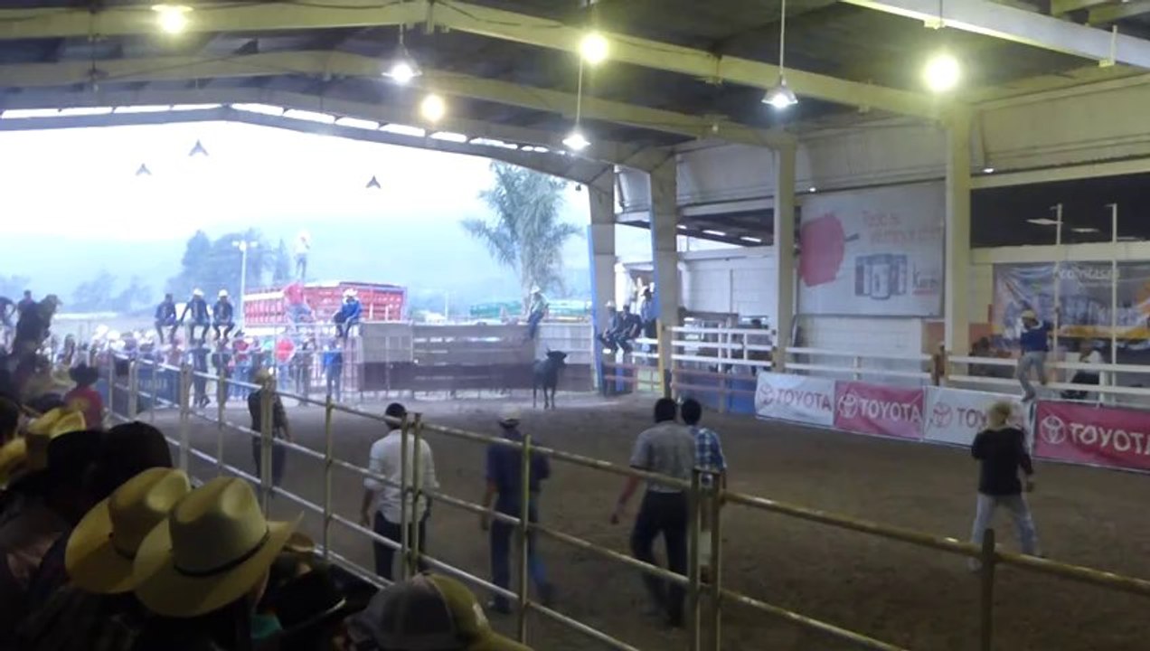 136RodeoVaca