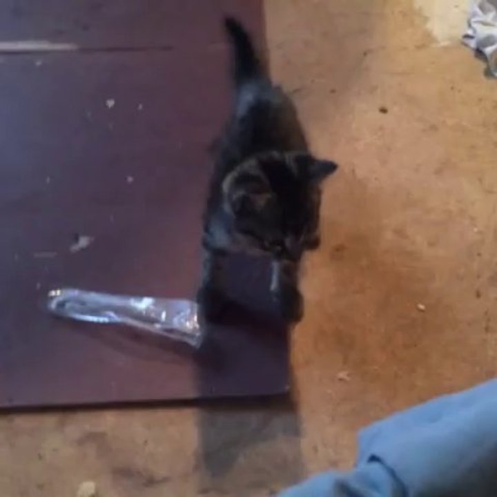 Mobile Capture Sep 25, 2013