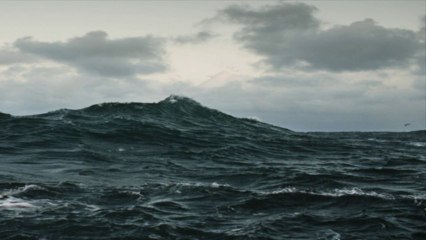 [ DOWNLOAD ALBUM ] Volcano Choir - Repave [ iTunesRip ]