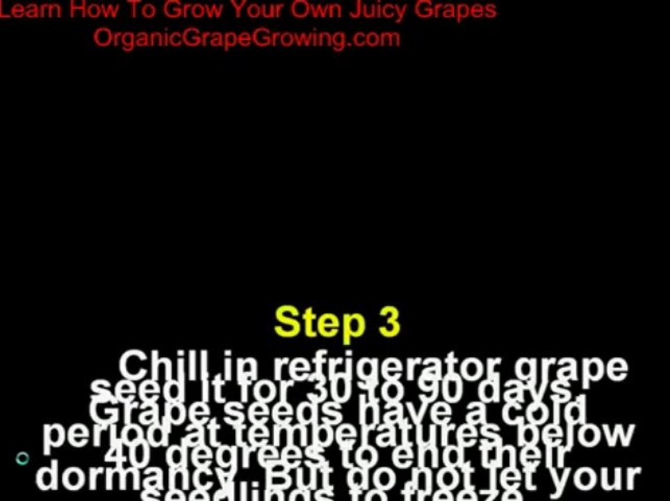 The Complete Grape Growing System