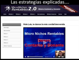 Que Negocio Puedo poner con Micro Nichos Rentables