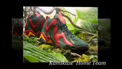 Top 10 Reebok Basketball Shoes 2013